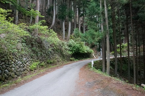 DSC07037.JPG