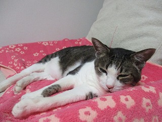 IMG_8208ss.jpg