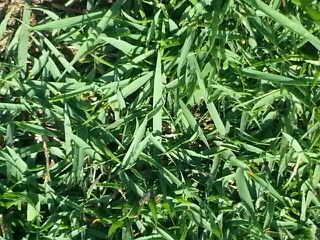 rblog-20140707204329-02.jpg