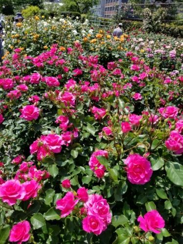 rblog-20180501113134-01.jpg
