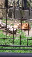 rblog-20130413132101-04.png