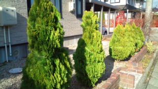 20121122120256.jpg