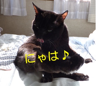 20121012_4.jpg