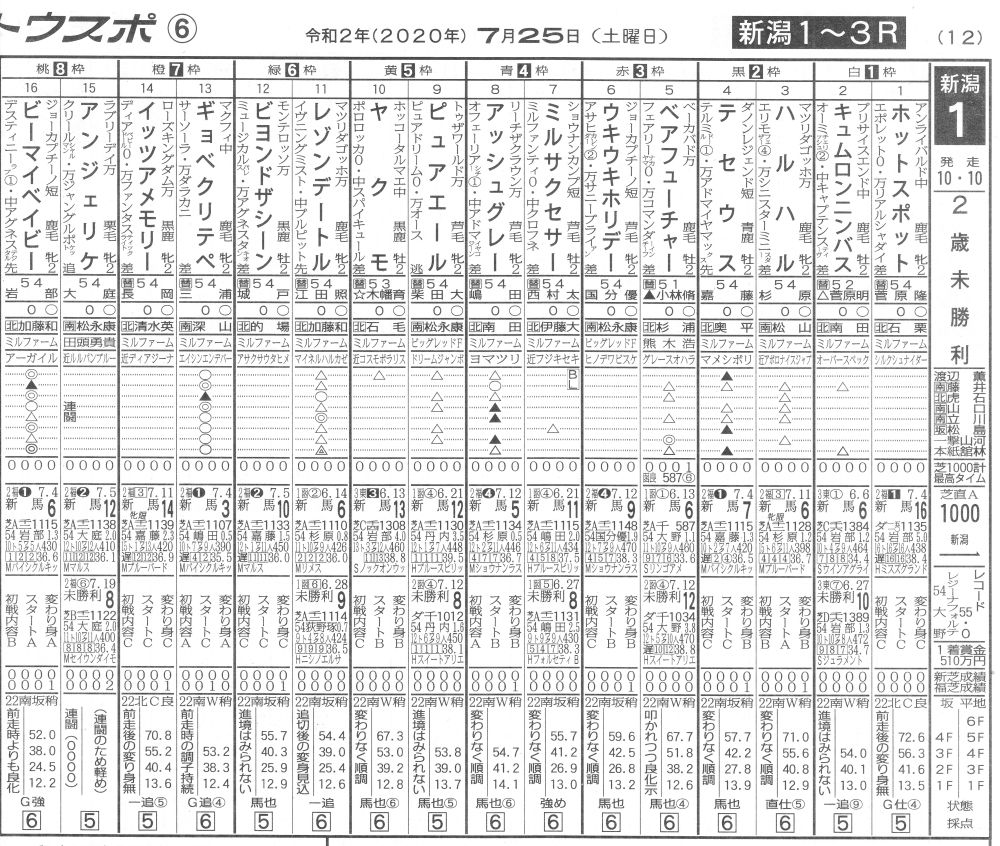 同一馬主が同一ｊｒａレース最多頭数出走 １２頭 １６頭立て 白い稲妻 多摩の黒酢 ほぼ競馬なブログ Since 06 楽天ブログ