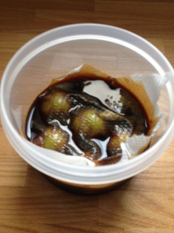 rblog-20150619092729-04.jpg