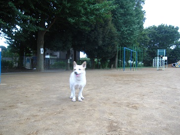 IMG_2180.JPG