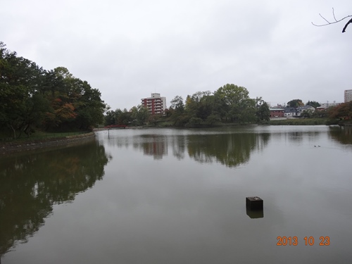 DSC04795_R.JPG