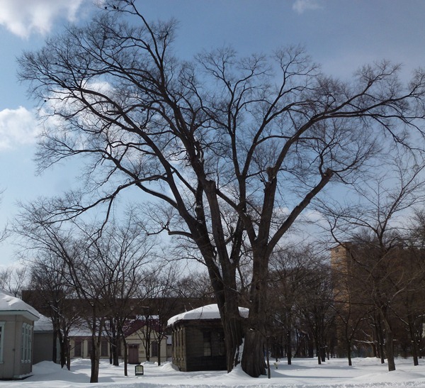 北海道大学