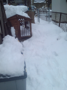 rblog-20140209082306-02.png