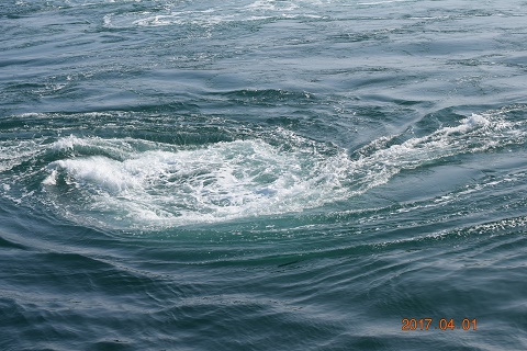 DSC_0139.jpg