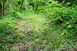 出羽仙台街道中山越えの旧道