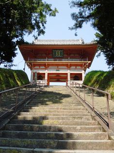 DSCN8802s.jpg