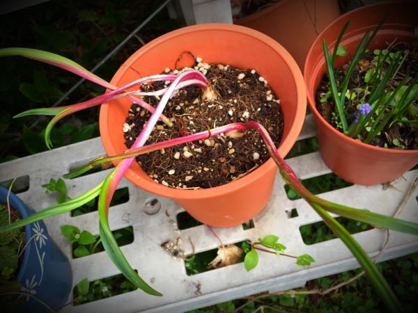 rblog-20160328172413-04.jpg