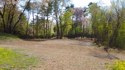 小宅古墳群の中心部