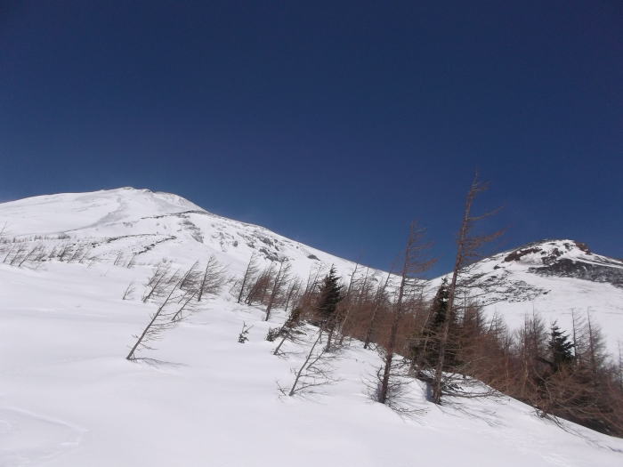 0316f.jpg