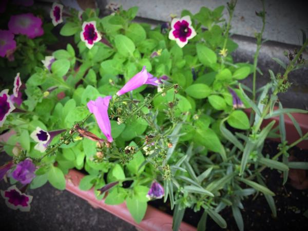 rblog-20160625182717-07.jpg