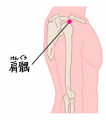 手の陽明大腸経「肩髃(けんぐう)」 | blog - 楽天ブログ