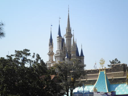 シンデレラ城/東京ディズニーランド | ディズニーランド