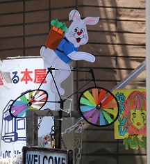 IMG_1622-27.jpg