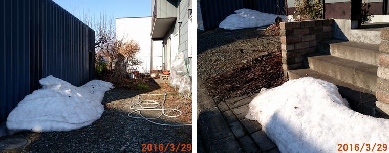 ３／２９雪はそのままに.jpg