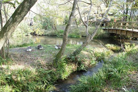 DSC00938 - コピー.JPG