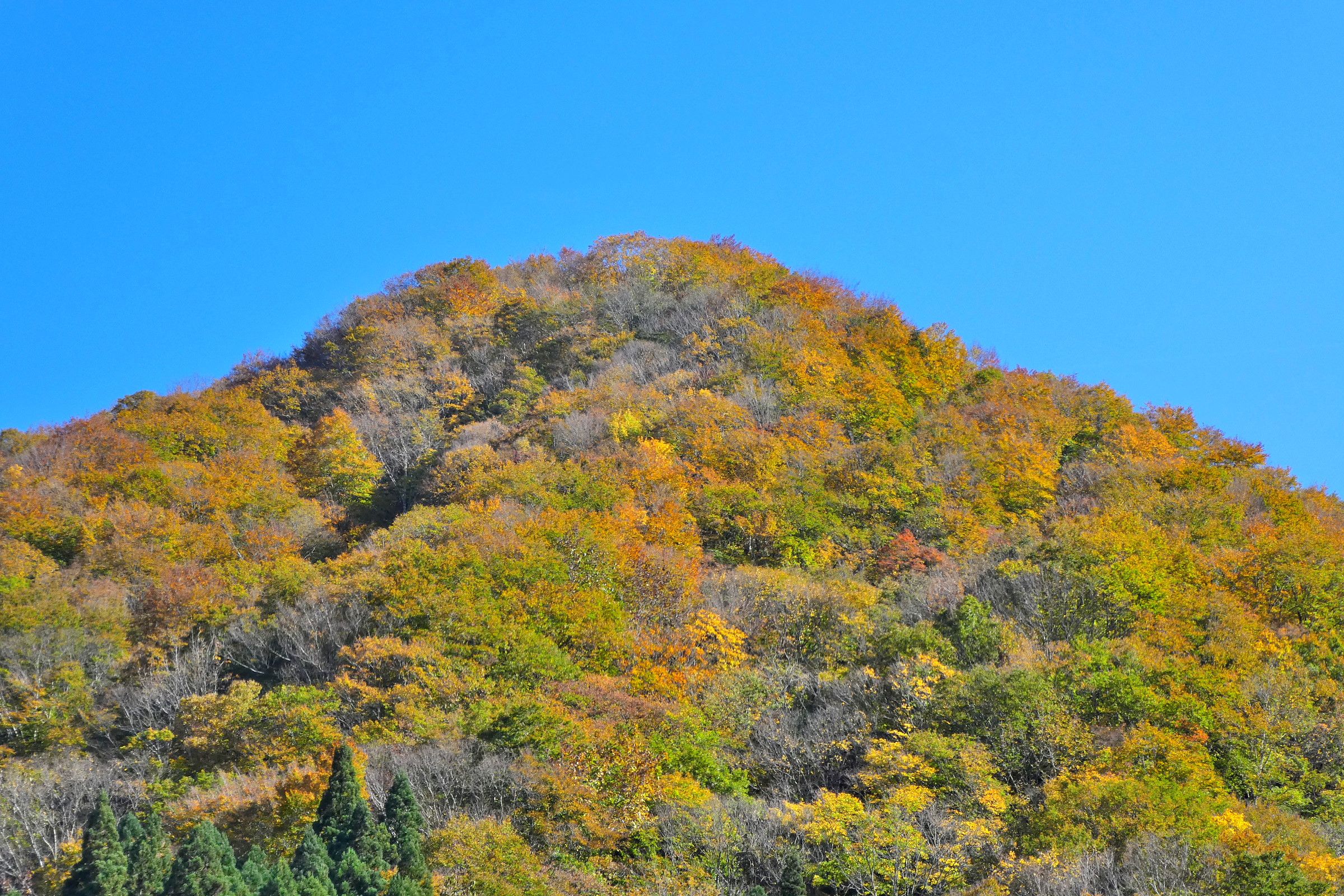 Niigata Prefecture 新潟県 | 「なるほど花子」の「Beautiful Japan」 - 楽天ブログ