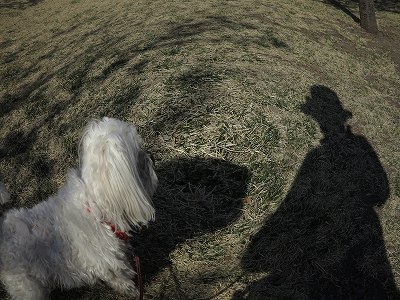 IMG_0561.jpg