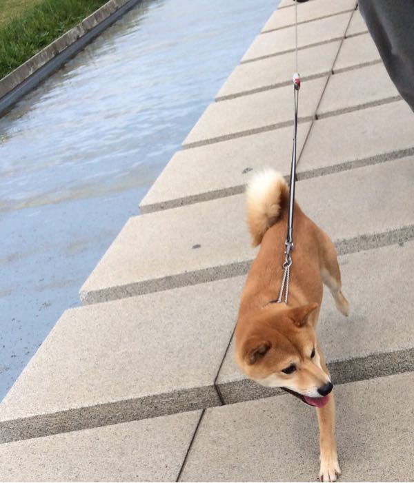 rblog-20160903175820-04.jpg