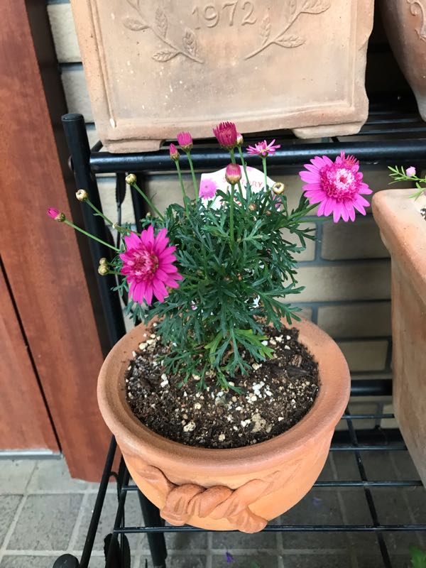 rblog-20190423182021-08.jpg