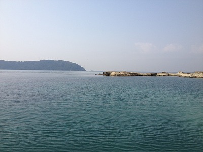 IMG_0633.jpg