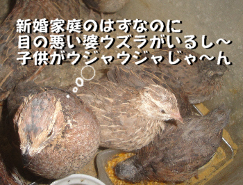 2013/04/20(5)