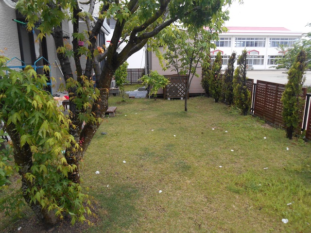 DSCN0311.JPG