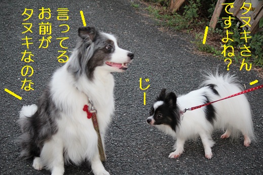 確認