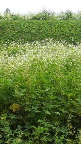 rblog-20180924065548-08.jpg