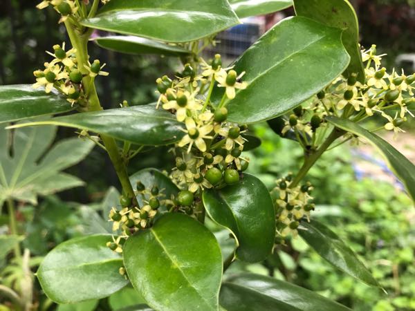 rblog-20190424153514-06.jpg
