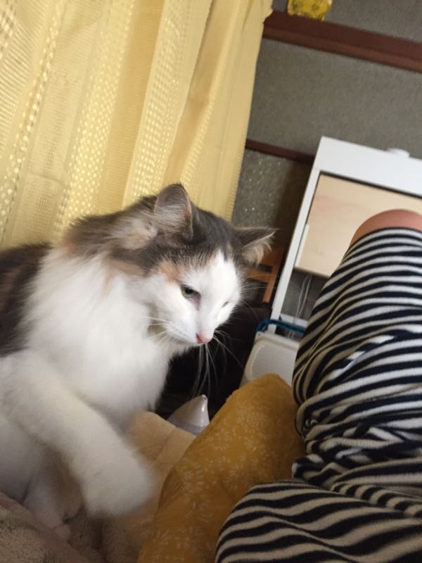rblog-20160325092950-04.jpg