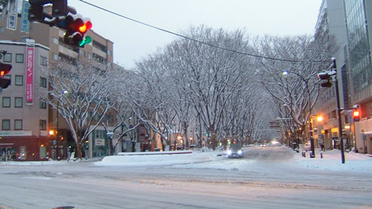 snow1-8