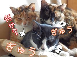 ぎゅうぎゅう.JPG