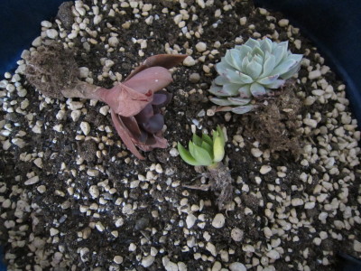 20120406a