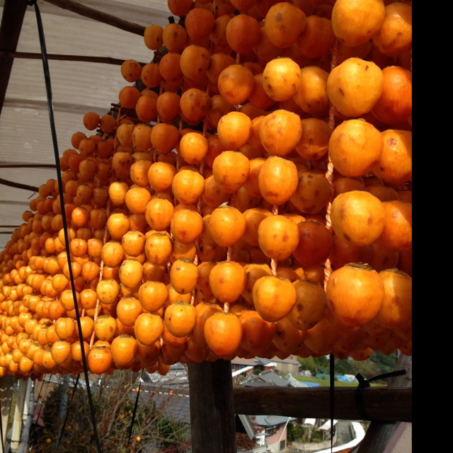 rblog-20131111134527-01.jpg
