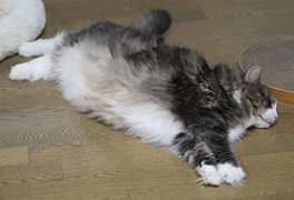 5DA_6357-14.jpg