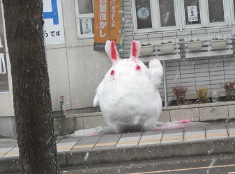 CIMG1591うさぎ.jpg