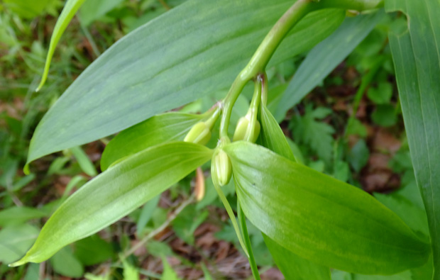 DSCF5643.jpg