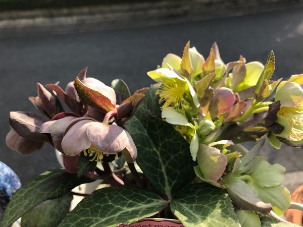 rblog-20180324163010-02.jpg