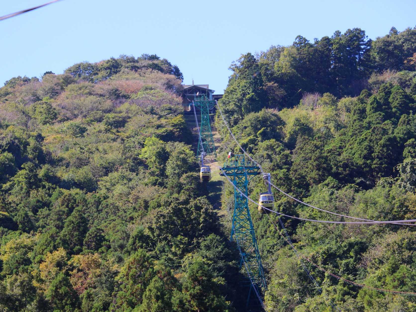 【宝登山山頂からの絶景】明日から「夕焼け観賞便」スタート！ | 花のおもてなし長生館スタッフのブログ - 楽天ブログ
