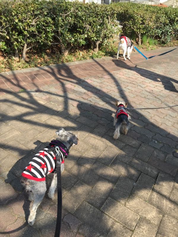 rblog-20160401013242-04.jpg