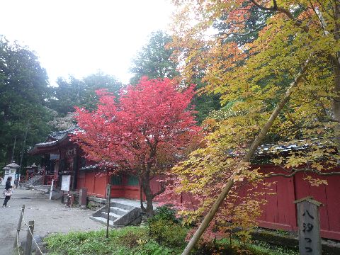 P1080658.JPG