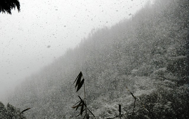 小塩山登山道・雪景色