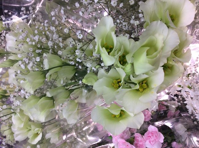 雨雨雨 と 夏休みのお知らせ 花屋な日々 楽天ブログ