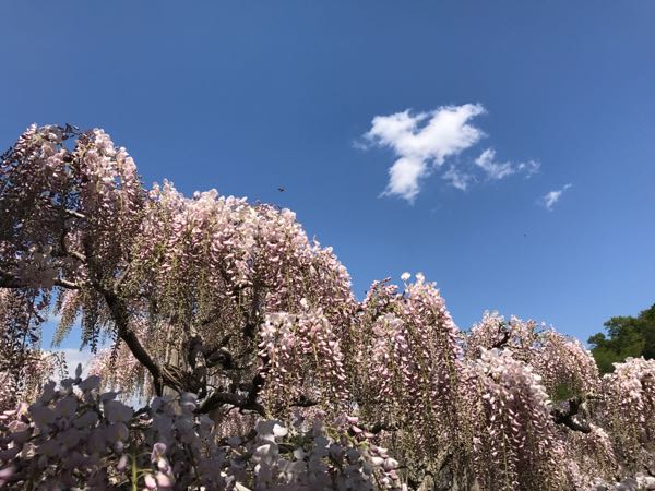 rblog-20170423174903-04.jpg